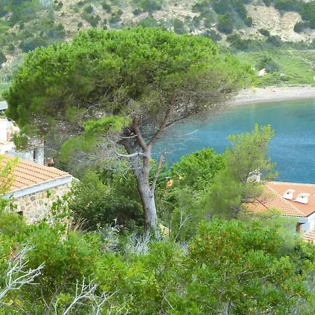 La Cota Quinta, Rio Nell